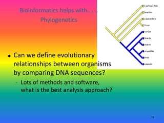 19
 Can we define evolutionary
relationships between organisms
by comparing DNA sequences?
- Lots of methods and software,
what is the best analysis approach?
Bioinformatics helps with…….
Phylogenetics
 