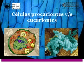 Profesora Sandra Carvajal Véjar




Células procariontes v/s
      eucariontes
 