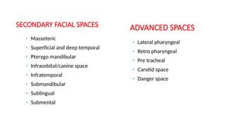 SECONDARY FACIAL SPACES
• Masseteric
• Superficial and deep temporal
• Pterygo mandibular
• Infraorbital/canine space
• Infratemporal
• Submandibular
• Sublingual
• Submental
• Lateral pharyngeal
• Retro pharyngeal
• Pre tracheal
• Carotid space
• Danger space
ADVANCED SPACES
 