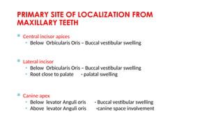 PRIMARY SITE OF LOCALIZATION FROM
MAXILLARY TEETH
 Central incisor apices
• Below Orbicularis Oris – Buccal vestibular swelling
 Lateral incisor
• Below Orbicularis Oris – Buccal vestibular swelling
• Root close to palate - palatal swelling
 Canine apex
• Below levator Anguli oris - Buccal vestibular swelling
• Above levator Anguli oris -canine space involvement
 