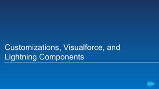 Customizations, Visualforce, and
Lightning Components
 