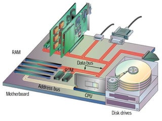 Computer hardware ppt1