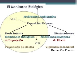 El Monitoreo Biológico
Mediciones AmbientalesMediciones Ambientales
Exposición Externa
Dosis Interna Efecto Adverso
Mediciones BiológicasMediciones Biológicas Mediciones BiológicasMediciones Biológicas
de ExposiciónExposición de Efecto
Prevención de efectos Vigilancia de la SaludPrevención de efectos Vigilancia de la Salud
Detección Precoz
VLA
VLB
 