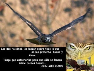 Los dos halcones, se lanzan sobre todo lo que
                        se les presenta, bueno y
                      malo.
 Tengo que entrenarlos para que sólo se lancen
            sobre presas buenas…
                              SON MIS OJOS
 