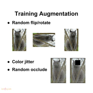 Training Augmentation
● Random flip/rotate
● Color jitter
● Random occlude
 