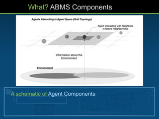 What? ABMS Components
A schematic of Agent Components
 