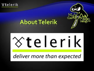 About Telerik
 