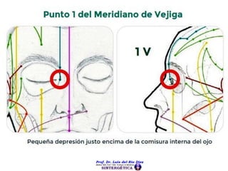 CUARTA PARTE. TERAPIAS BIOENERGÉTICAS CHARLA DEL PROF. DR. LUIS DEL RIO DIEZ