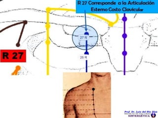 CUARTA PARTE. TERAPIAS BIOENERGÉTICAS CHARLA DEL PROF. DR. LUIS DEL RIO DIEZ