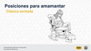 Universidad Central de Venezuela
Facultad de Medicina
Clásica sentada
Posiciones para amamantar
 