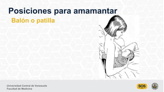 Universidad Central de Venezuela
Facultad de Medicina
Balón o patilla
Posiciones para amamantar
 