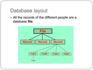Database fileAll the information about one person “Bob Smith” is a record
