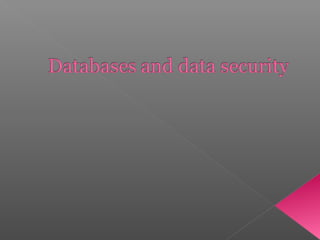 Database & Data Security
