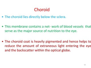 50
Choroid
• The choroid lies directly below the sclera.
• This membrane contains a net- work of blood vessels that
serve as the major source of nutrition to the eye.
• The choroid coat is heavily pigmented and hence helps to
reduce the amount of extraneous light entering the eye
and the backscatter within the optical globe.
 