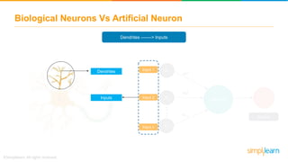 Biological Neurons Vs Artificial Neuron
Dendrites -------> Inputs
Neuron
X1
X2
Xn
Y
Output
w1
w2
w n
Dendrites Input 1
Input 2
Input n
Inputs
 