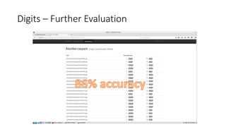 Digits – Further Evaluation
 
