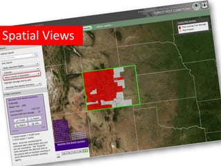 Spatial Views
 
