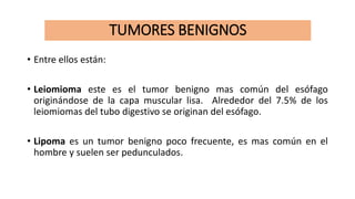TUMORES BENIGNOS
• Entre ellos están:
• Leiomioma este es el tumor benigno mas común del esófago
originándose de la capa muscular lisa. Alrededor del 7.5% de los
leiomiomas del tubo digestivo se originan del esófago.
• Lipoma es un tumor benigno poco frecuente, es mas común en el
hombre y suelen ser pedunculados.
 