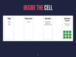 INSIDE THE CELL
26
 