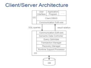 Distributed Database Management System