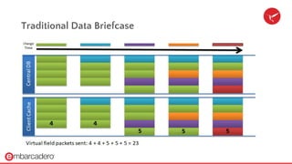 Traditional Data Briefcase
 