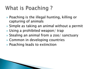    Poaching is the illegal hunting, killing or
    capturing of animals
   Simple as taking an animal without a permit
   Using a prohibited weapon/ trap
   Stealing an animal from a zoo/ sanctuary
   Common in developing countries
   Poaching leads to extinction
 