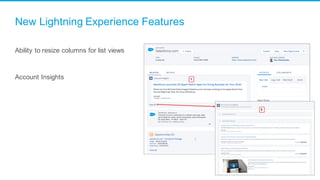 New Lightning Experience Features
Ability to resize columns for list views
Account Insights
 