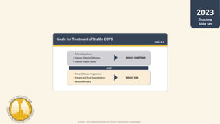 © 2022, 2023 Global Initiative for Chronic Obstructive Lung Disease
Teaching
Slide Set
 
