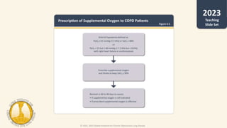 © 2022, 2023 Global Initiative for Chronic Obstructive Lung Disease
Teaching
Slide Set
 