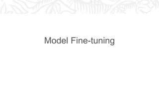 Model Fine-tuning
 