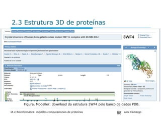 58
2.3 Estrutura 3D de proteínas
IA e Bioinformática: modelos computacionais de proteínas Alex Camargo
Figura. Modeller: download da estrutura 3WF4 pelo banco de dados PDB.
 