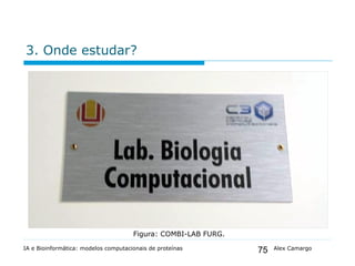 75
3. Onde estudar?
IA e Bioinformática: modelos computacionais de proteínas Alex Camargo
Figura: COMBI-LAB FURG.
 