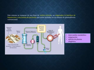 Este sistema se compone de una línea de carbón activado, un oxigenador, la interface de
hepatocitos y una bomba de perfusión que están incluidos en un sistema de plasmaféresis
convencional.
• intercambio metabólico
• oxigenación
• adición de plasma
alogénico,
 
