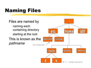 Naming Files
Files are named by
naming each
containing directory
starting at the root
This is known as the
pathname /etc/passwd
/home/neale/b
 