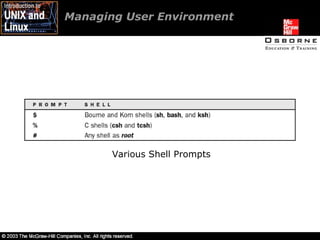 Managing User Environment Various Shell Prompts 