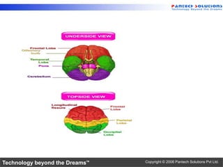 Technology beyond the Dreams™ Copyright © 2006 Pantech Solutions Pvt Ltd.
 