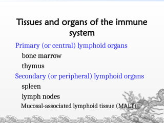 Tissues and organs of the immune
system
Primary (or central) lymphoid organs
bone marrow
thymus
Secondary (or peripheral) lymphoid organs
spleen
lymph nodes
Mucosal-associated lymphoid tissue (MALT)
 