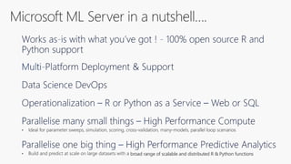 broad range of scalable and distributed R & Python functions
 