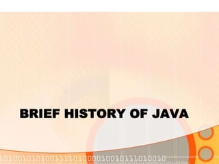BRIEF HISTORY OF JAVA

 