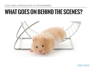 WHATGOESONBEHINDTHESCENES?
CODE CREW | INTRODUCTION TO PROGRAMMING
 