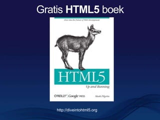 Oude browsers doen werken met html5