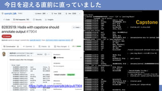 今日を迎える直前に直っていました
© 2022 NTT DATA Corporation 45
Capstone
https://github.com/openjdk/jdk/pull/7904
 