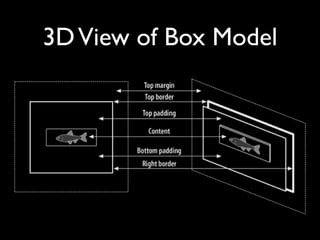 3D View of Box Model
 