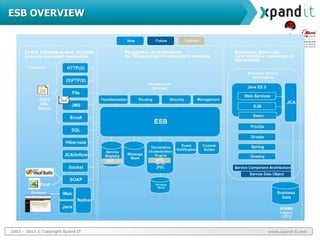 2003 – 2013 © Copyright Xpand IT www.xpand-it.com
ESB OVERVIEW
 
