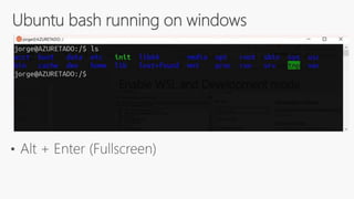 Native Containers on Windows 10 using Docker – a game changer for developers