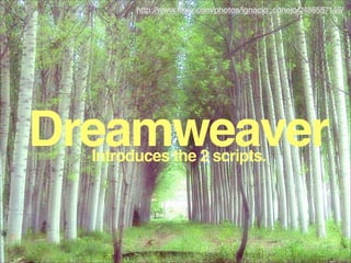 http://www.flickr.com/photos/ignacio_conejo/2486557146/




Dreamweaver
  Introduces the 2 scripts.
 