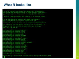 What R looks like
 