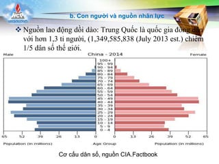 LOGO
 Nguồn lao động dồi dào: Trung Quốc là quốc gia đông dân
với hơn 1,3 tỉ người, (1,349,585,838 (July 2013 est.) chiếm
1/5 dân số thế giới.
Cơ cấu dân số, nguồn CIA.Factbook
b. Con người và nguồn nhân lực
 