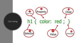 CSS Coding
 