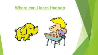 Where can I learn Hadoop
 
